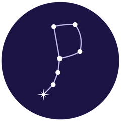 Polaris Genomics
